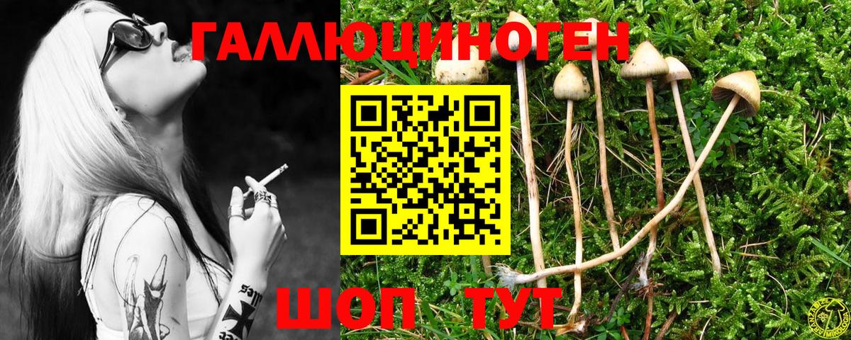 Псилоцибиновые грибы Psilocybine cubensis  Вход с VPN  Гудермес 