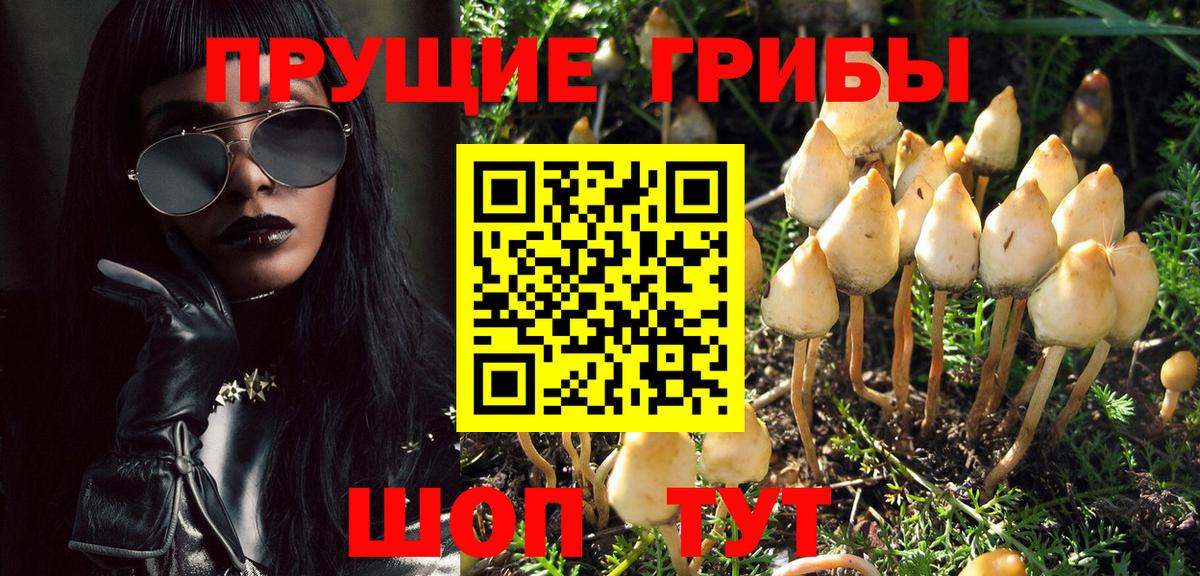 Псилоцибиновые грибы мухоморы Гудермес